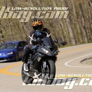 Meet your Posher, Frankie